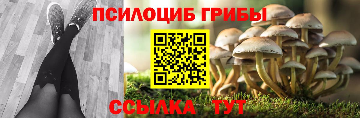 Чапаевск  Псилоцибиновые грибы Magic Shrooms  Вход с VPN  Галлюциногенные грибы Cubensis 